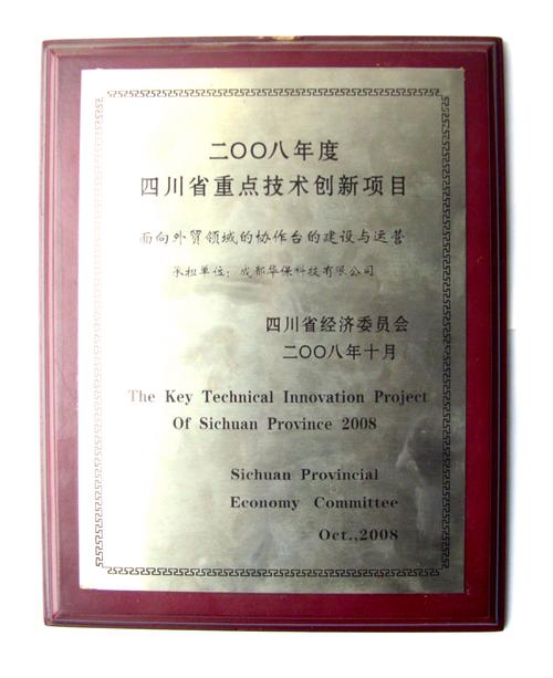 信息技術開發,服務外包,網絡技